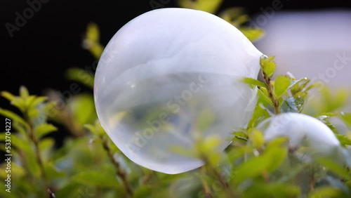 Frozen soap bubble collapses - Canon R6 with RF 100-500mm [4K50p]
