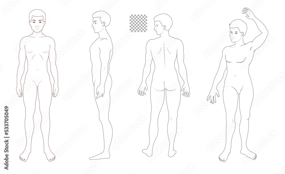 Human body full body illustration set transparent background solid line, man, no face medical, fashion style Human body full body illustration set transparent background solid line, man, no face medical, fashion style
