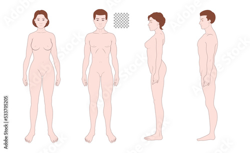 Human body full body illustration set transparent background solid, man, woman, medical, fashion style color front side