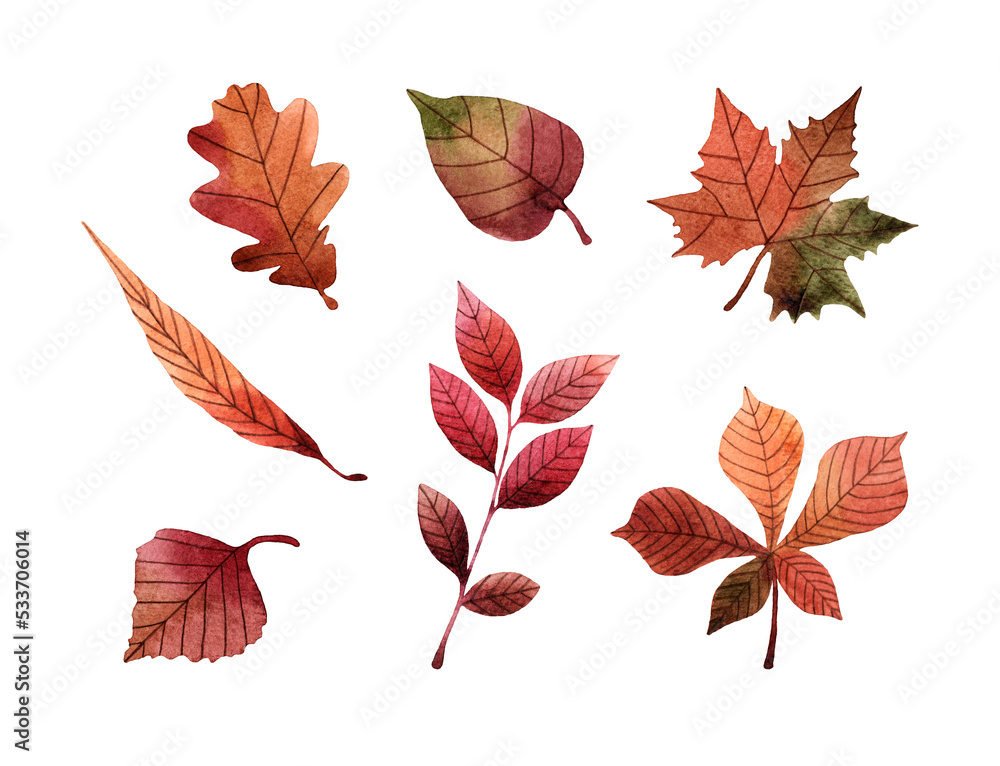 Obraz premium Watercolor hand drawn illustration of fall leaves. Isolated objects on white background. For creating various autumn designs