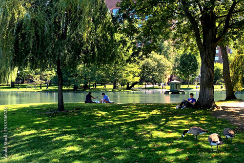 Picnics at Boston Commons