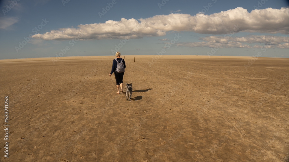 Senior woman with a dog on a leash walks in the sand without shoes through the endless Wadden Sea at low tide along the orientation posts. With blue sky and heavy cloud