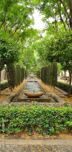 woman in the park of Palma of Maiorca 