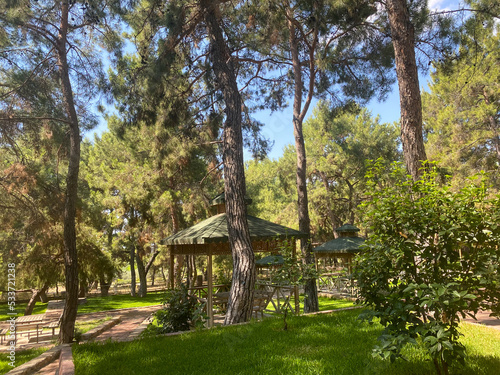 Pavilions and pines in a park in Antalya