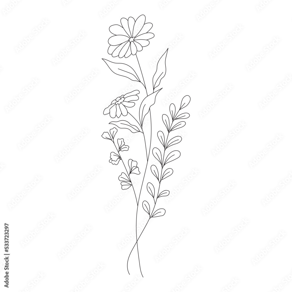 Botanical leaf Wildflower Line art