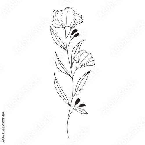 Botanical leaf Wildflower Line art