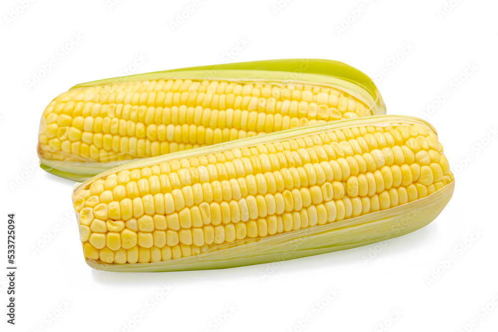 Corn isolated on white background with clipping path Corn isolated on white background with clipping path