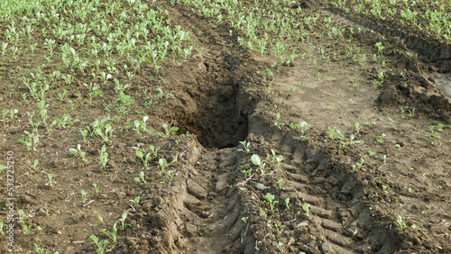 Erosion damage field subsoil hole pit soil inappropriately managed earth land degradation field. Intensive agriculture damages tractor track. Vadose zone poor farm farming without trees draws. photo