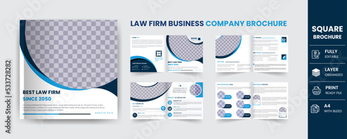 law Firm service business brochure and law consultation annual report, cover Page Template