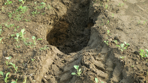 Fields subsoil erosion damage tractor track hole pit soil inappropriately managed earth land degradation field. Intensive agriculture. Vadose zone poor farm farming without trees draws. photo