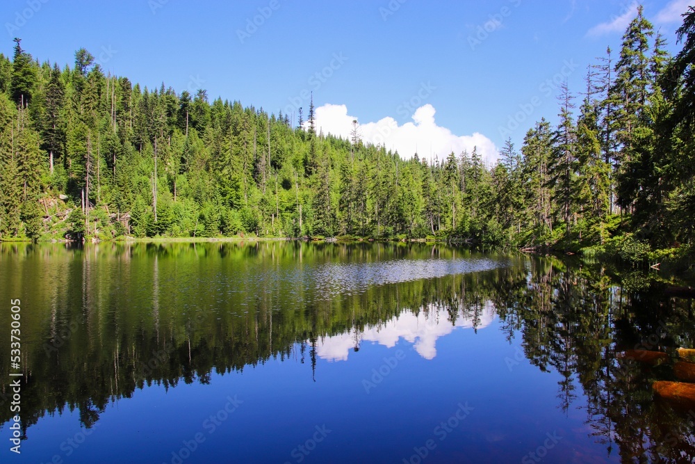 A beautiful water surface with reflection of the trees at Prasily lake, Czech republic A beautiful water surface with reflection of the trees at Prasily lake, Czech republic