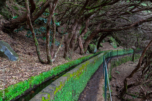 Rabacal, nature hiking area  the Levada do Risco  levada hiking trail,  left a levada water pipe,  Madeira,  Portugal,  Europe
