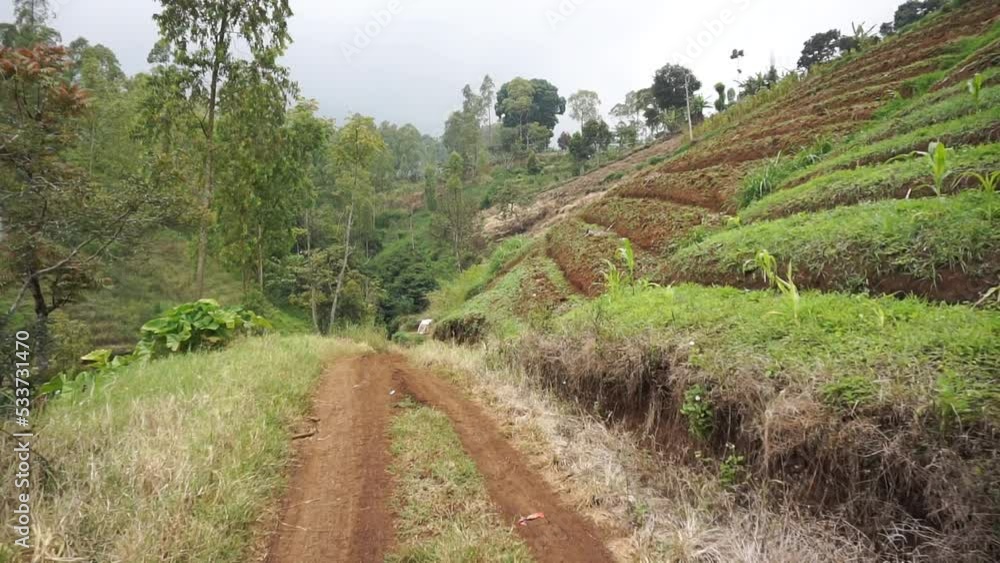 Traveling the natural atmosphere in the plantation hills on the slopes of Mount Cikuray Traveling the natural atmosphere in the plantation hills on the slopes of Mount Cikuray