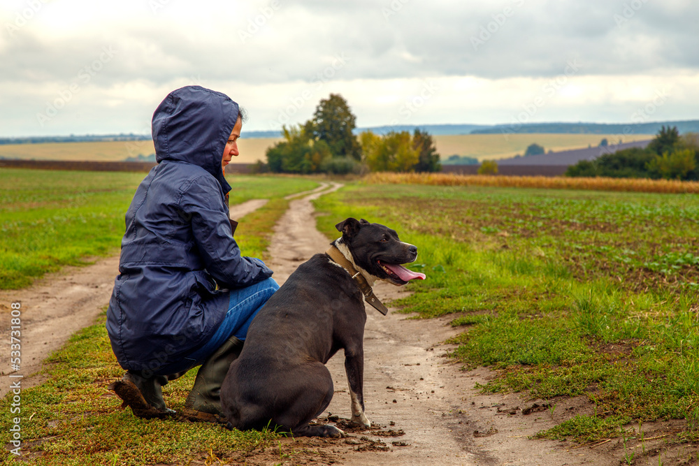 A woman walks her dog in a field after a thunderstorm. Girl with staffordshire terrier in nature on a cloudy day. The concept of freedom, happiness, friendship, nature. A woman walks her dog in a field after a thunderstorm. Girl with staffordshire terrier in nature on a cloudy day. The concept of freedom, happiness, friendship, nature.