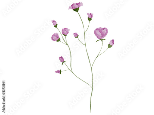 pink flowers