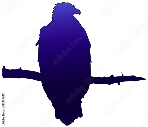 Silhouette of an eagle on a tree branch. purple black colour illustration.

