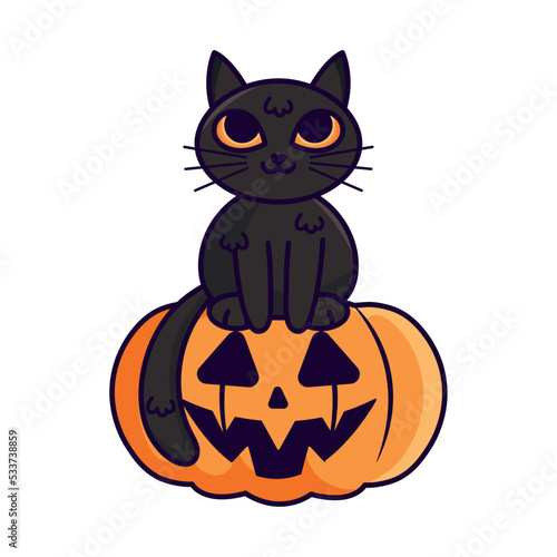 cat on halloween pumpkin © Jeronimo Ramos