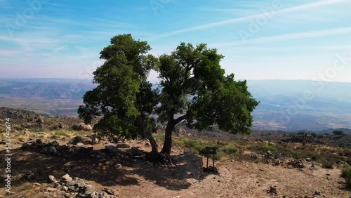 Alone Tree on the Mountain Viewpoint. Nature Landscape. Background 4k. Torre de Moncorvo, Portugal photo