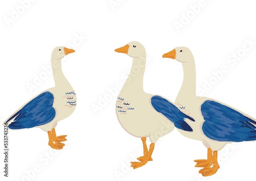 Illustration de trois oies blanches et bleu marine, bleu clair. Ces animaux volatiles sont sur fond blanc.