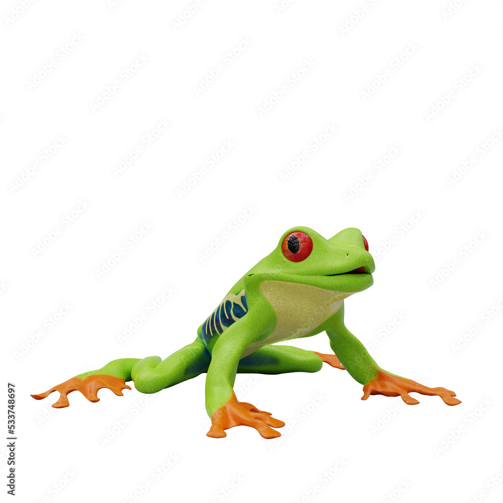Obraz premium Red eyed tree frog