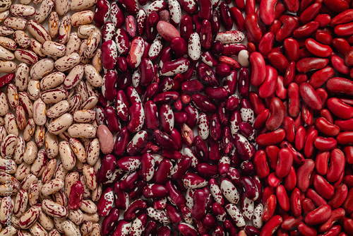 Set of red beige pinto beans, white purple anasazi beans and red kidney beans. Organic food. Food background. Top view.