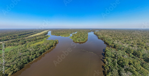 Photography Louisiana Swamp bay and cypress tree forest with levee afternoon high angle land