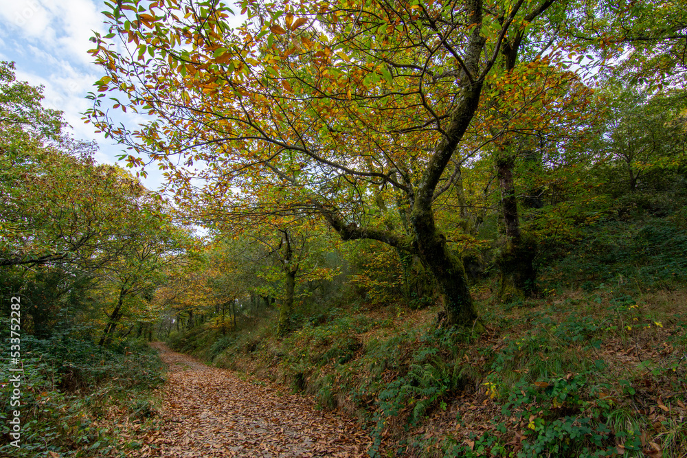 autumn landscape autumn landscape
