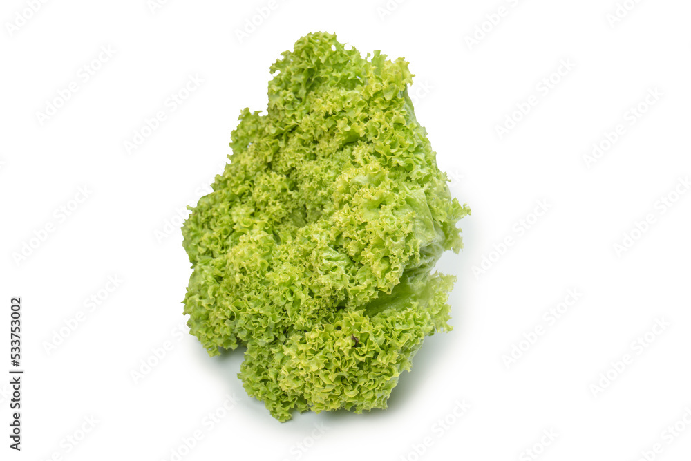 Iceberg lettuce isolated on white background.