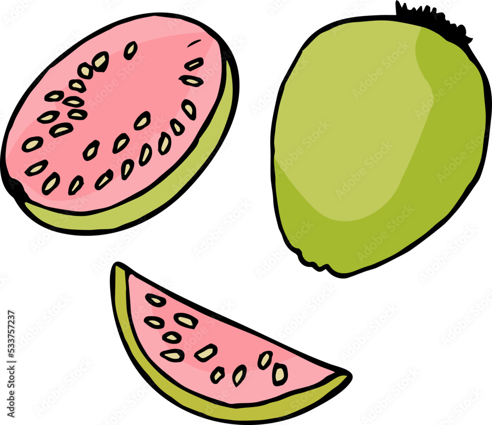 Little set with guava on white background. Vector image. Doodle style Little set with guava on white background. Vector image. Doodle style