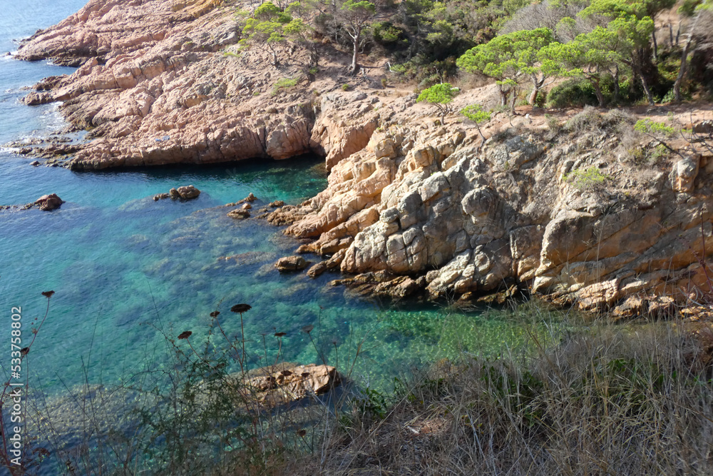 Pines, rocks and cliffs on the catalan costa brava in the mediterranean sea Pines, rocks and cliffs on the catalan costa brava in the mediterranean sea