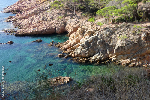 Pines, rocks and cliffs on the catalan costa brava in the mediterranean sea
