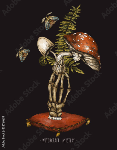 Vintage magic plants Amanita mushroom with witch death hand, Witchcraft mystery, fly agaric mushrooms, flowers