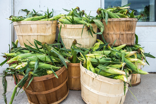 Wood baskets overfilled with newly picked corn outside a farmers market.