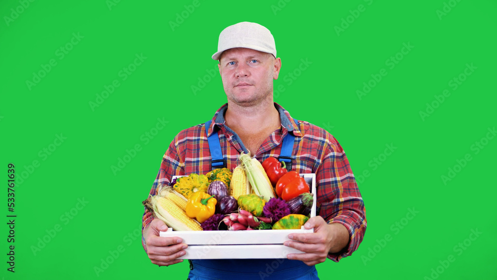smiling male farmer in plaid shirt and hat holds a box with different fresh vegetables, on Chromakey, green background. concept of crop counting, harvest of vegetables. High quality photo smiling male farmer in plaid shirt and hat holds a box with different fresh vegetables, on Chromakey, green background. concept of crop counting, harvest of vegetables. High quality photo