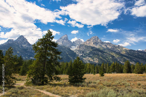 Landscape view of a field, trees, and the Teton Range in the background. Taken from Teton Glacier Turnout in Grand Teton National Park.