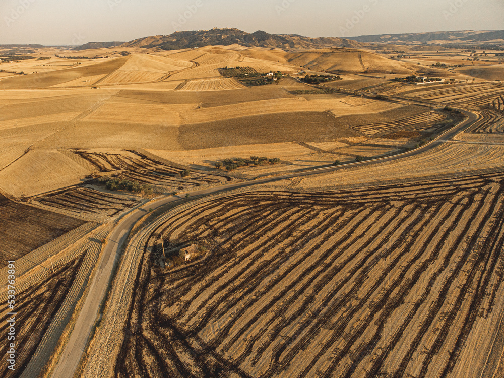 Fototapeta premium Summer Flight