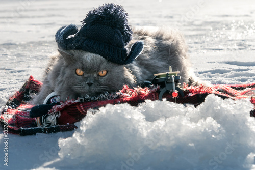 Print op canvas Funny cat in a knitted hat catches fish with a winter fishing rod on the ice of the lake