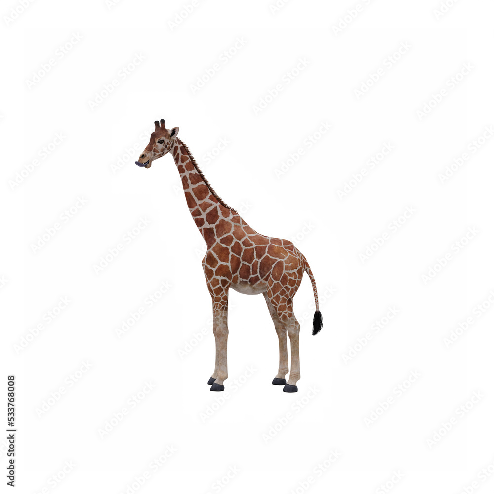 Giraffe Giraffe