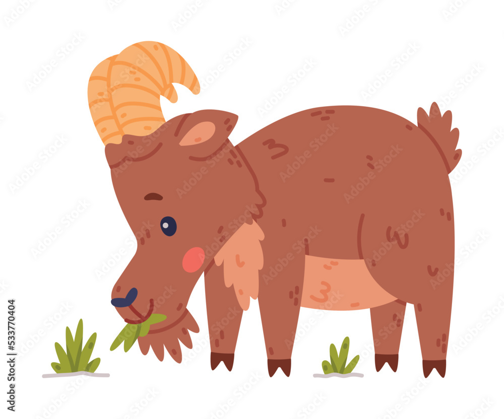 Urial Character as Wild Mountain Sheep with Horns Chewing Grass Vector Illustration Urial Character as Wild Mountain Sheep with Horns Chewing Grass Vector Illustration