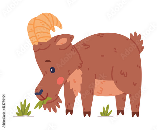 Urial Character as Wild Mountain Sheep with Horns Chewing Grass Vector Illustration