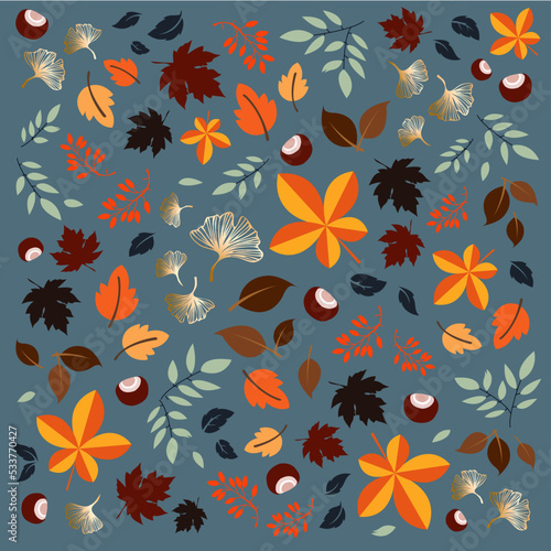 Fototapeta Autumn leaves pattern, fall colors, forest, vector graphic.