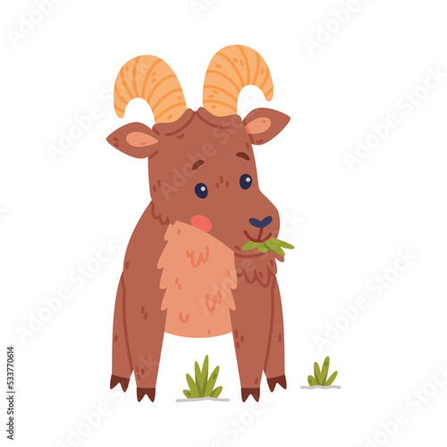 Urial Character as Wild Mountain Sheep with Horns Chewing Grass Vector Illustration