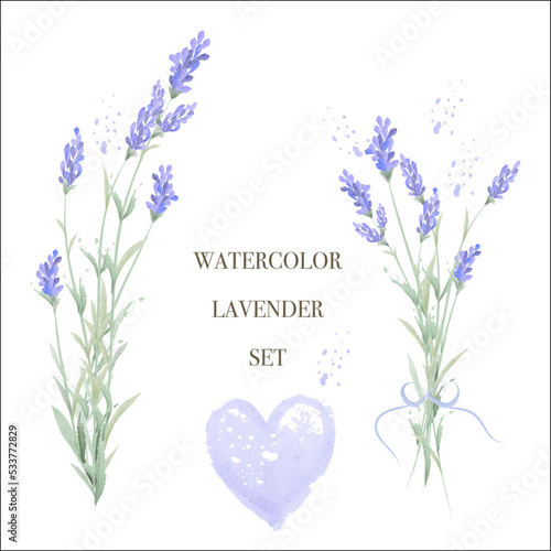 Watercolor lavender set , rustic style