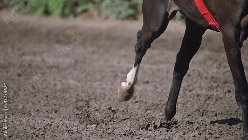 Horse racing at summer racetrack on dirty ground in old hippodrome. Close up of Riders on horses racing at super slow motion filmed on Nikon z9 high quality camera photo