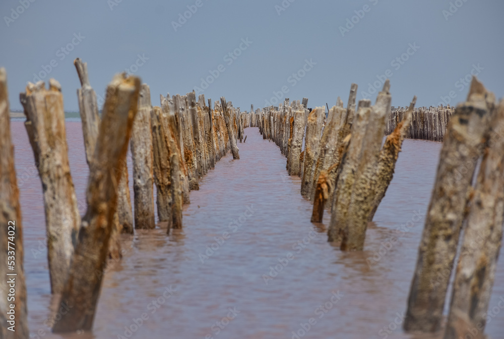 wooden piers in salt lake, wooden remains in pink lake wooden piers in salt lake, wooden remains in pink lake