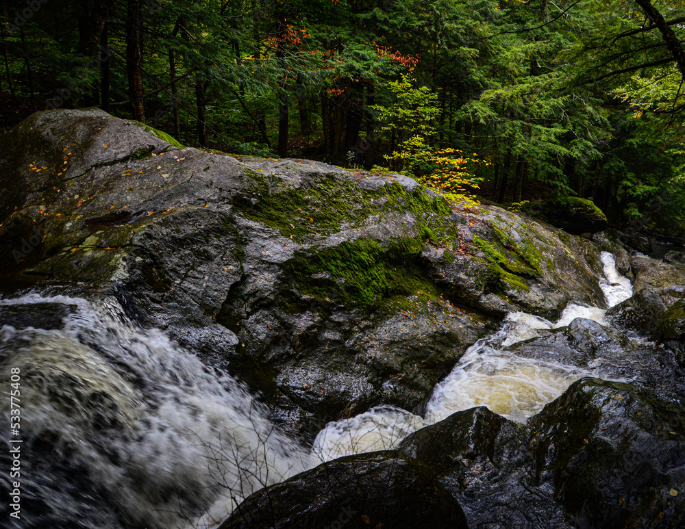 Cascading Waterfall in the Forest
The Long Trail North Cascading Waterfall in the Forest
The Long Trail North
