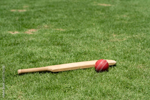 Miniature cricket bat and ball laying on green grass