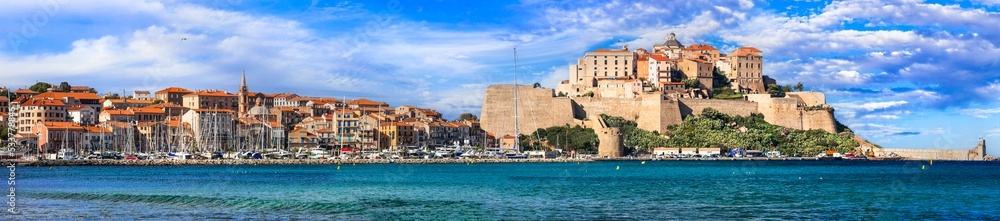 Corsica island travel. Panorama of coastal town Calvi , view of citadel fortress and port. France