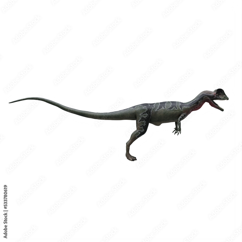 Obraz premium dilophosaurus dinosaur