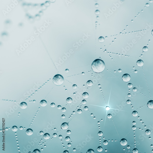 drops on the spider web in rainy days, blue background